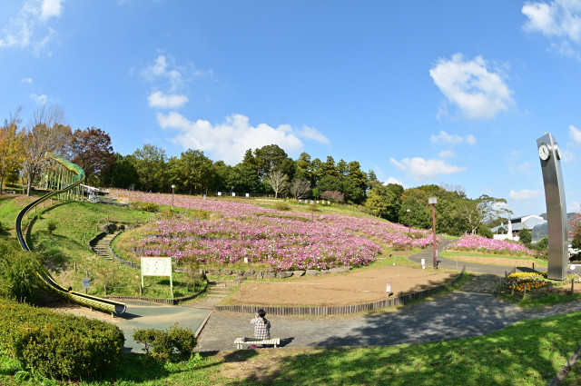 荻野運動公園【厚木市】